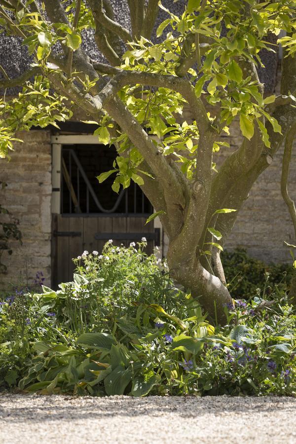 Bed and Breakfast The Old Manor House Halford  Екстер'єр фото